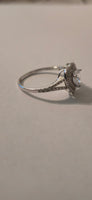 Cherished Embrace – 1ct CZ Double Halo Heart Ring