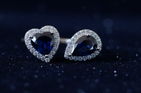 Mystic Duo – Blue Starry Night