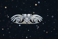 Winged Heart – Starry Night
