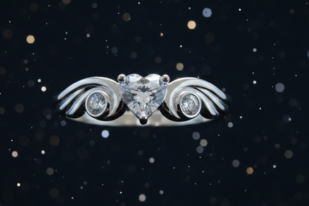 Winged Heart – Starry Night